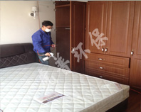 �����ǳ����օ^