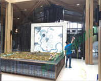 ��Ƶخa(ch��n)