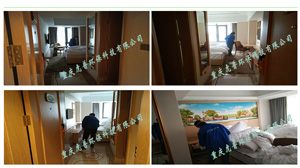 �SҲ�{�Ƶ���ƺ