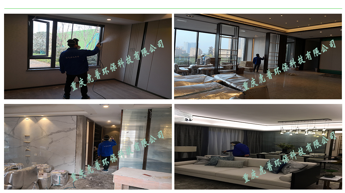 ��������ȩ,��������ȩ��˾,������ȩ�z�y