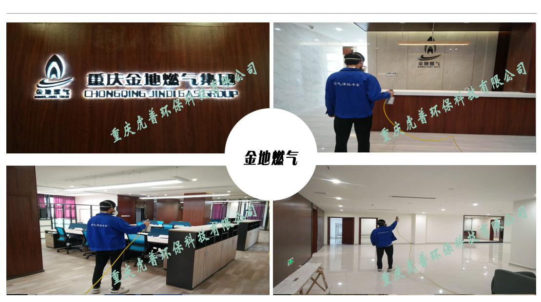 重慶除甲醛公司 重慶除甲醛公司