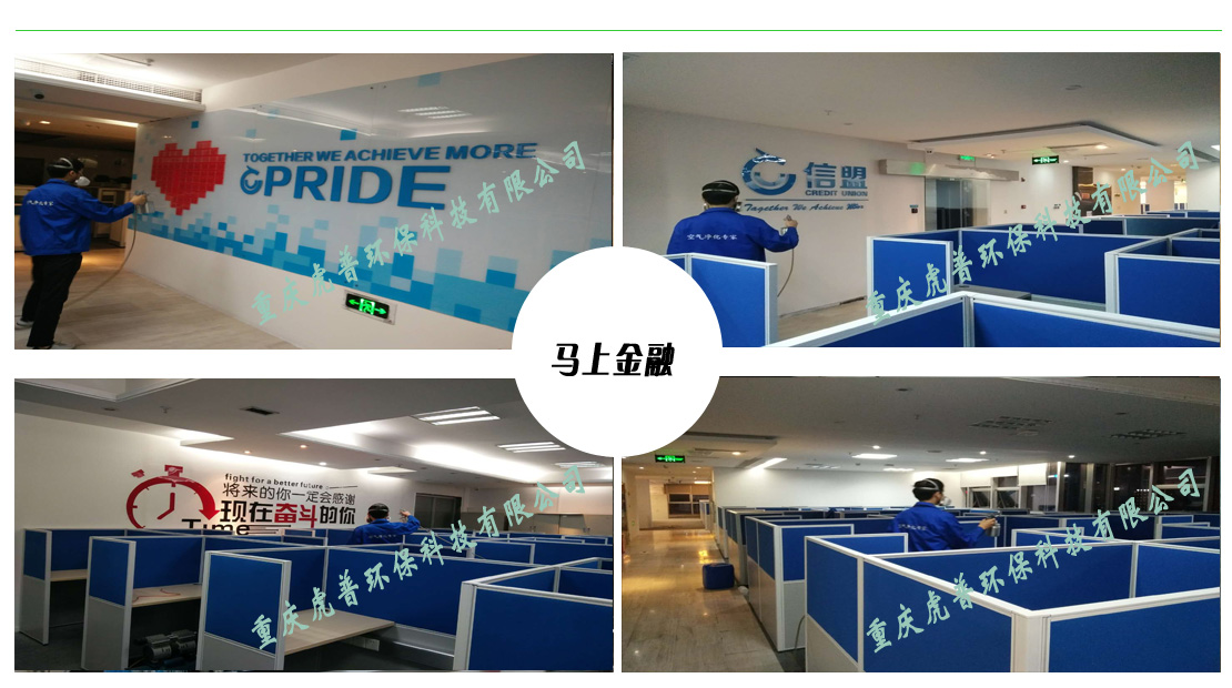 重慶除甲醛公司 重慶除甲醛公司