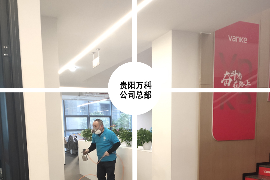 貴陽除甲醛公司 貴陽除甲醛公司